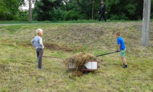 projekt ogród 003