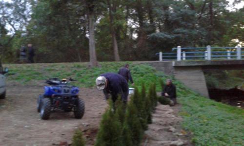 projekt ogród 028