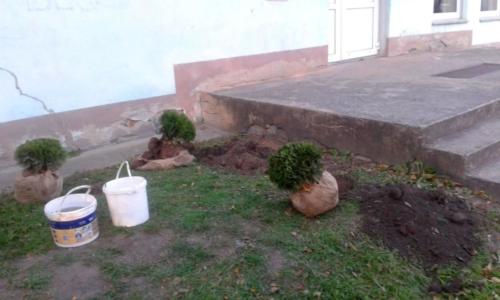 projekt ogród 032