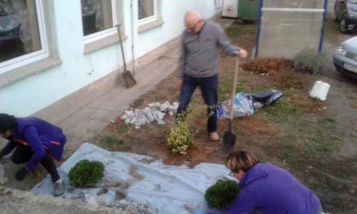 projekt ogród 040