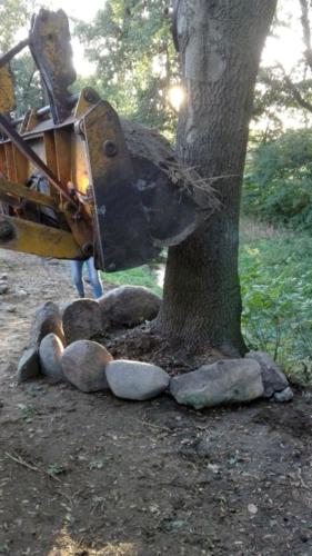 projekt ogród 045
