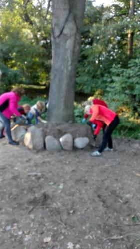 projekt ogród 047