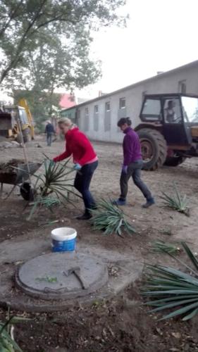 projekt ogród 049