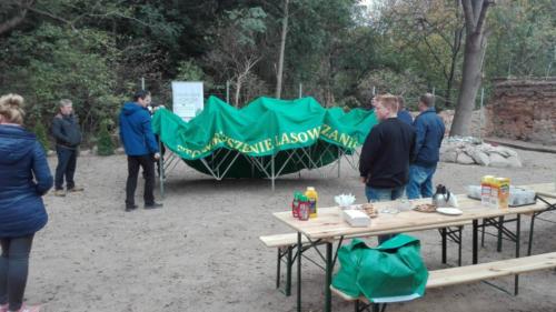 projekt ogród 053