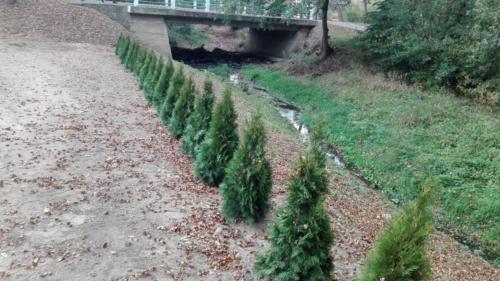 projekt ogród 057