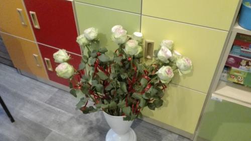 IMG 20190309 175803 (1)